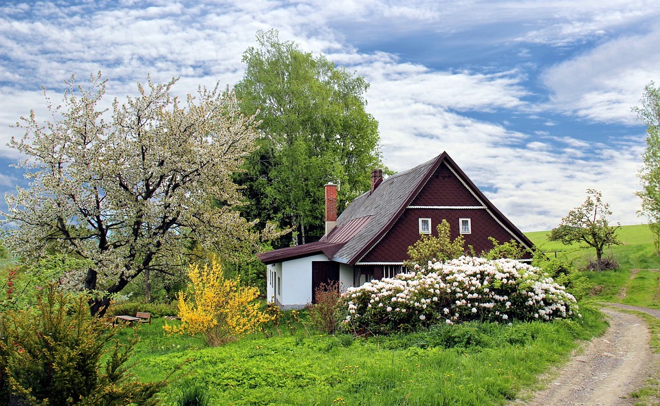 Steiner Ranch: Where Nature Meets Luxury Living Steiner Ranch: Where Nature Meets Luxury Living